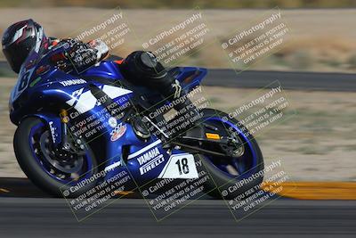 media/Feb-04-2023-SoCal Trackdays (Sat) [[8a776bf2c3]]/Turn 4 (Tree of Life 2pm)/